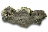 Calcite Crystals on Dolomite and Sparkling Pyrite - New York #251209-1